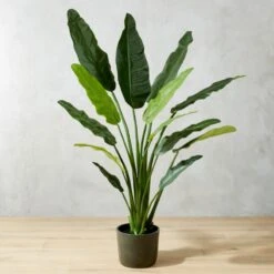 Potted Faux Bird Of Paradise 6'