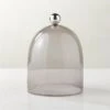 Smoked Glass Cloche With Stainless Steel Knob