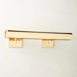 Jolie Polished Brass Picture Light Sconce 24''