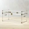 Mod Large Clear Acrylic Locker Trunk