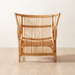 Wengler Rattan Lounge Chair